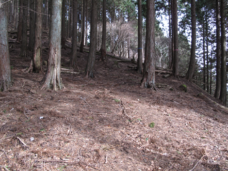 20160121hike (168)